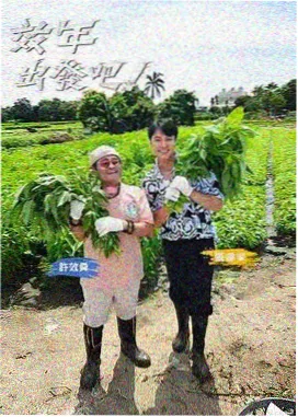 五种使用场景下茶瀑布器具搭配与落差标注图